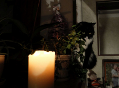 Массовые отключения электричества затронут пять районов Воронежской области