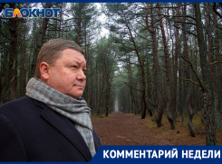 «Нет необходимости в вырубке Нагорной дубравы»: депутат гордумы напомнил два альтернативных выхода из ситуации