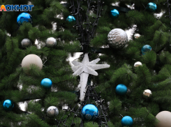 Катка в Центральном парке не будет этой зимой в Воронеже