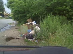 Воронежцы поплатятся чистотой из-за ошибки мусорщиков