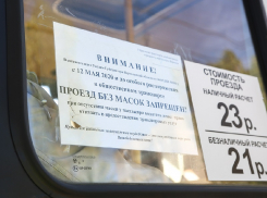 Мэрия и ГИБДД проведут рейды по масочному режиму в Воронеже