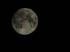 Луна пройдет через Рака, Льва и Деву на неделе: что это значит для воронежцев