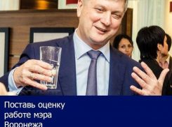 Скандальные стройки и неубранные улицы стали главными особенностями работы воронежского мэра: Итоги 2016 года