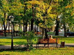 Хорошо ли жить в Воронеже? 87% опрошенных жителей ответили – да