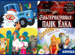 Куда сходить в Воронеже: «Синий трактор Деда Мороза», «Иван Царевич и Серый Волк», «Альтернативная Панк Елка»