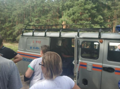 В воронежском лесу спасли от смерти бабушку, застрявшую в развилке деревьев