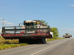 Названы пять стран, которые больше всех тратят денег на продукцию воронежского АПК