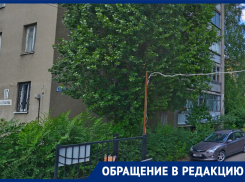 «Ни губернатор, ни прокуратура, ни УК, ни ГЖИ – никто не может нам помочь»: воронежский инвалид о фекальной запруде 