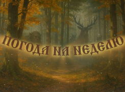 Осень с характером: как испортится погода в Воронеже на этой неделе