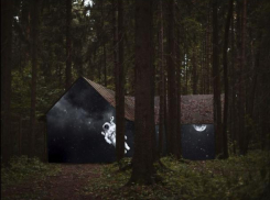 Фото воронежского леса признали лучшим на международном конкурсе