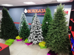 Воронежская «Велобаза» зовет за новогодними покупками