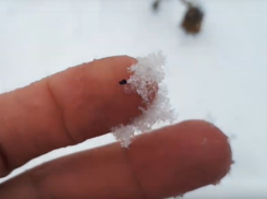 Город под Воронежем безжалостно накрыло сажей