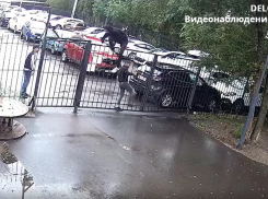 Позорный поступок «трёх богатырей» сняла камера видеонаблюдения в Воронеже