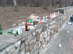 Форменное свинство на центральной аллее Танаиса сняли на фото воронежцы