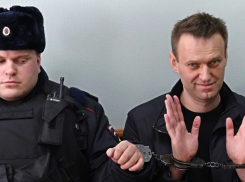 Воронежский штаб Навального решил, что не поможет лидеру митингом на Машмете