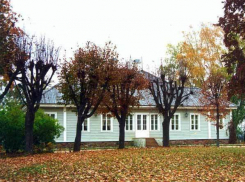 Воронежский литературный музей имени Никитина поедет на выставку в Михайловское