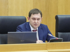 Нетесов представил диалог с воронежскими чиновниками как нечто особенное