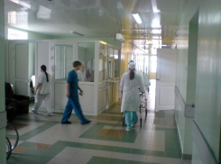 В Воронежской области двое человек заболели лихорадкой Западного Нила