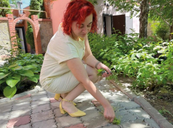 Как избавиться от сорняков между брусчаткой на садовых дорожках