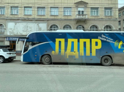 Воронежские жириновцы затмили собой офис «Единой России»