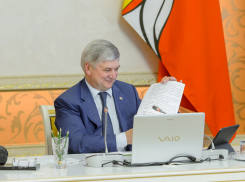 В приподнятом настроении должен выйти из отпуска воронежский губернатор Гусев