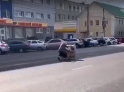 «Бабушка-министр» с телегой вытеснила машины с проспекта в Воронеже 