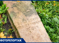 Что представляет из себя старейшее кладбище Воронежа, которое чуть не застроили коттеджами