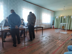 В Воронеже сообщили о скупщике голосов на довыборах в городскую Думу