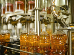 В Воронеже экс-совладельца «Эртильского» маслозавода оставили на 4,5 года в колонии 