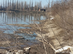 Федеральные экологи: «Эколайнер» умышленно ведет Воронеж к экологической катастрофе!»  