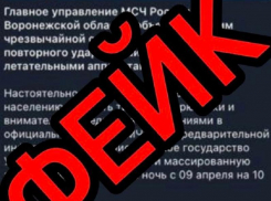 Сообщения о готовящейся массовой атаке БПЛА на Воронежскую область назвали фейком