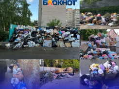 «Помойка везде»: гигантские свалки на Артамонова, крысы на Ульяновской и центр Воронежа в пакетах