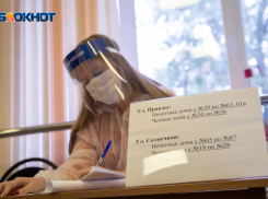 Названа явка воронежцев по итогам второго дня выборов в Госдуму