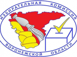 Избирком Воронежской области решительно отказался от своей прежней радужной эмблемы