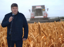 Депутат и земельный магнат Трибунский потерял половину дохода, зато феерично открыл детскую площадку