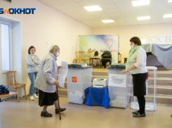 Число избирателей Воронежской области сократилось за полгода на 4 тыс человек