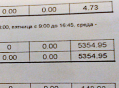 Воронежцы сыграли в игру, у кого больше счет за отопление