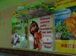 Маршрутка с юморными плакатами удивила воронежцев