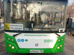 «Зажал дверью ногу и протащил женщину по асфальту»: пенсионерка получила травмы, проехавшись на воронежской маршрутке