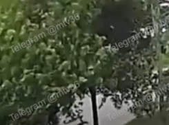 Бросил лежать на асфальте: самокатчик снес 4-летнюю девочку в Воронеже