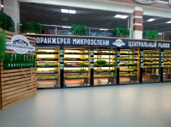 На Центральном рынке выросла трава