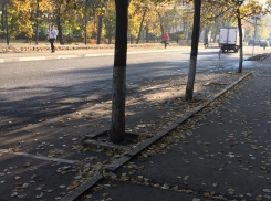 Воронежцы массово игнорируют платные парковки в центре города