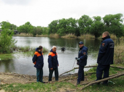 Под Воронежем появится еще один официальный пляж