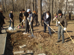 Воронежцам придется самим избавить город от мусора и грязи