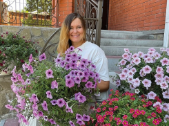 Суперсоветы по летним подкормкам петуний для цветения до самых заморозков