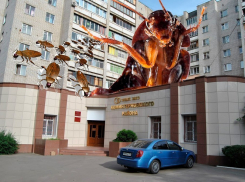 Из-за равнодушия коммунальщиков воронежская многоэтажка превратилась в тараканье логово