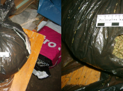 В Воронеже мужчина после работы в МВД  занялся наркобизнесом