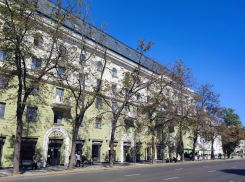 Экологическая катастрофа в Воронеже: в следующем году на улицах города может засохнуть половина деревьев