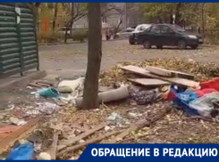 «Устали жить в грязи»: воронежцы рассказали о беспорядке во дворе на левом берегу 