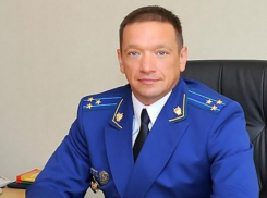 Супруга зампрокурора Воронежской области за год приобрела семь иномарок, четыре из которых «Мерседесы»